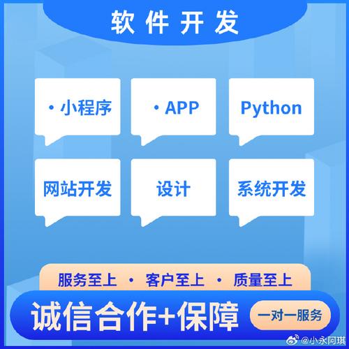 軟件開發定制 為什么選擇專業團隊是成功的關鍵？
